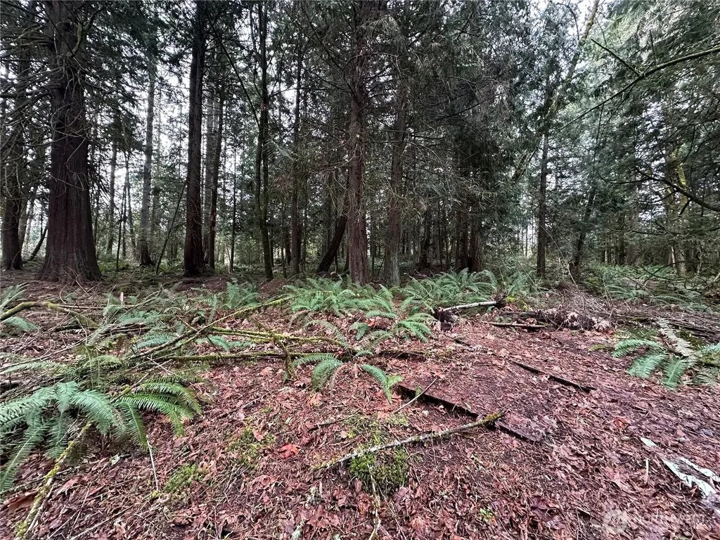 22 Nevada Avenue E Port Orchard WA 98366