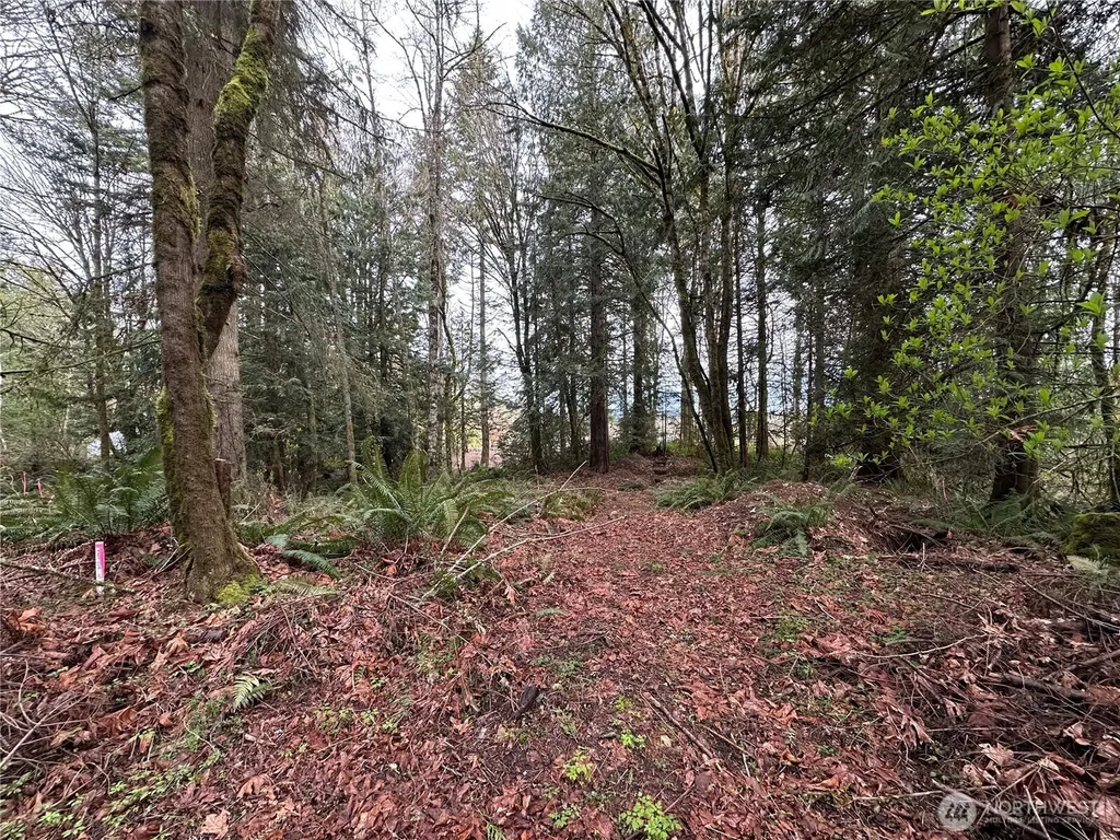 22 Nevada Avenue E Port Orchard WA 98366