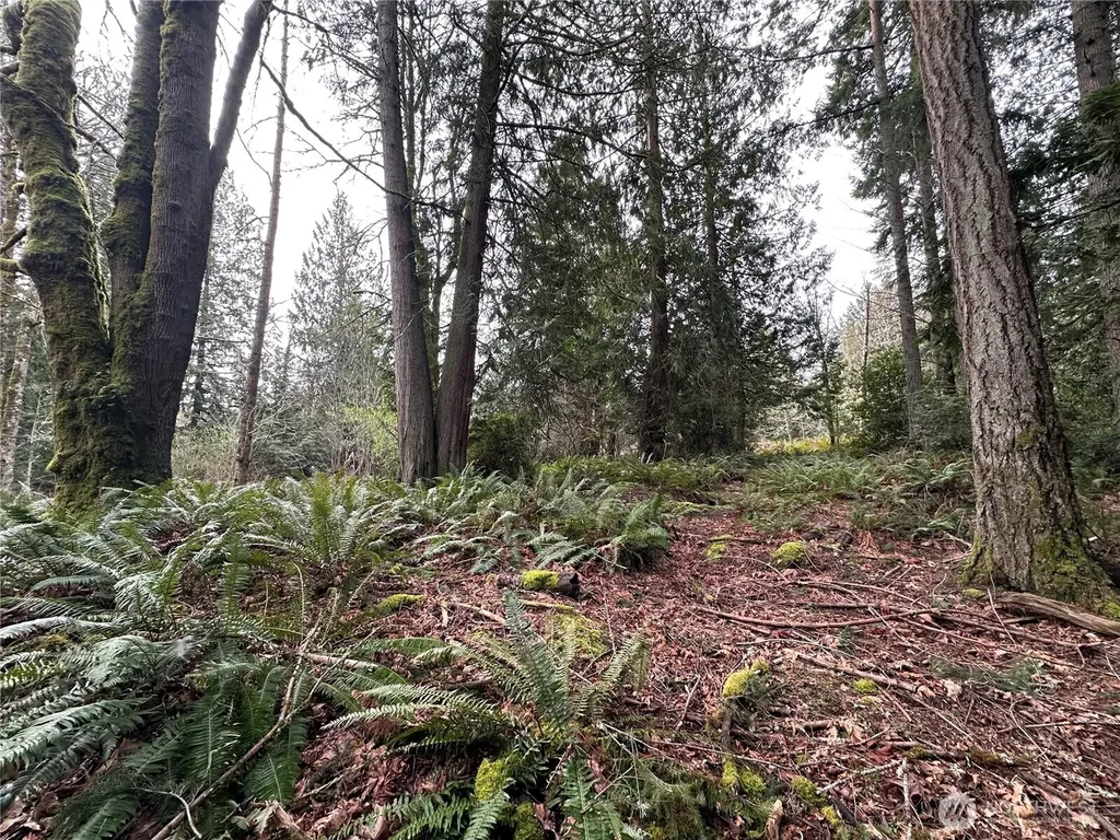22 Nevada Avenue E Port Orchard WA 98366
