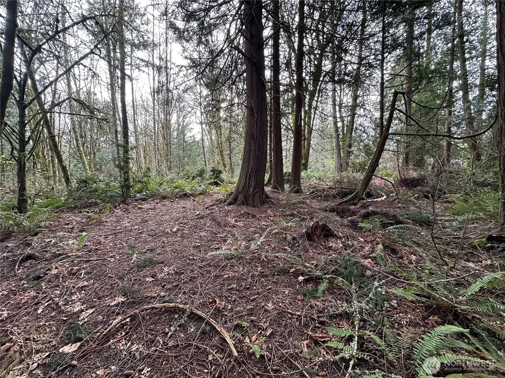 22 Nevada Avenue E Port Orchard WA 98366