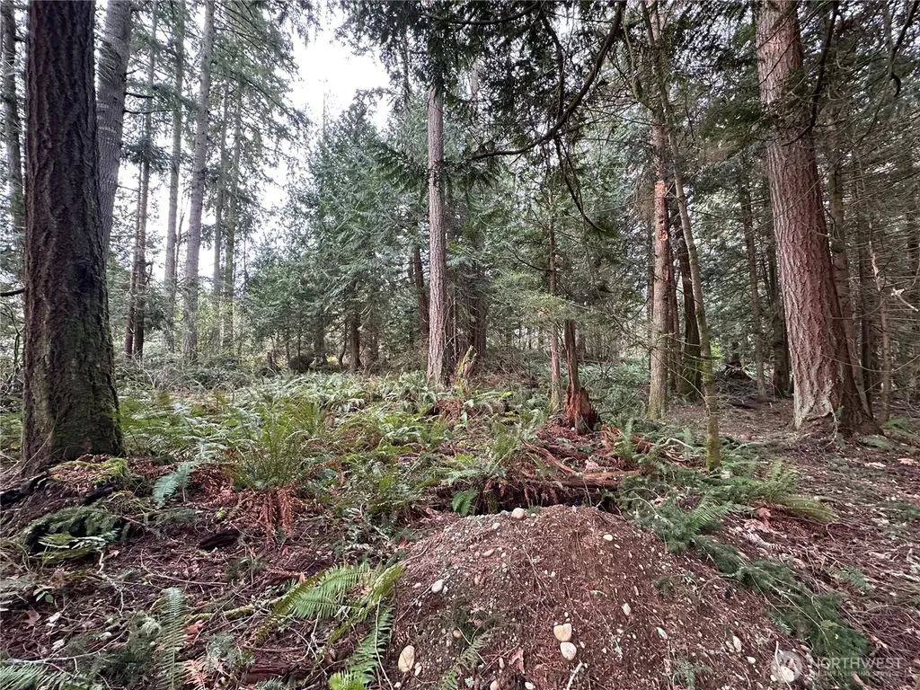 22 Nevada Avenue E Port Orchard WA 98366