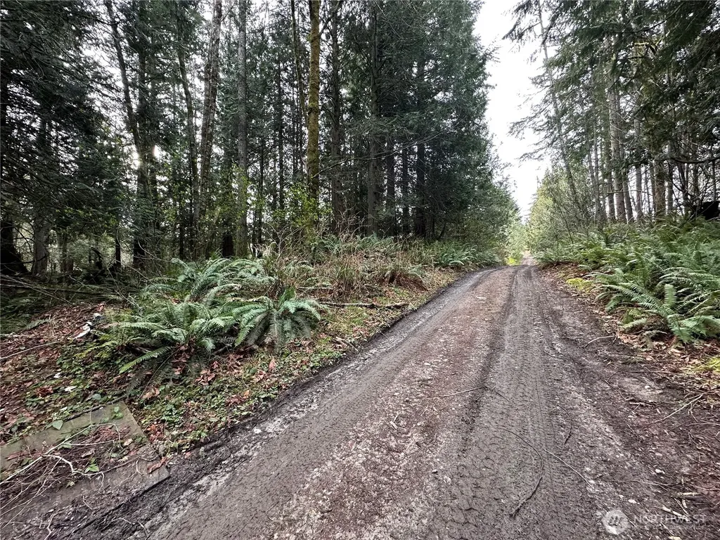 22 Nevada Avenue E Port Orchard WA 98366