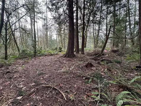 22 Nevada Avenue E Port Orchard WA 98366