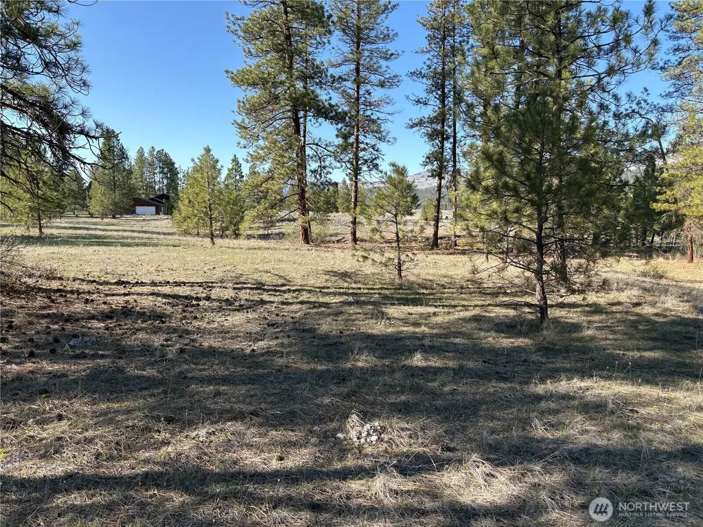 0 Tamarack Road Tonasket WA 98855