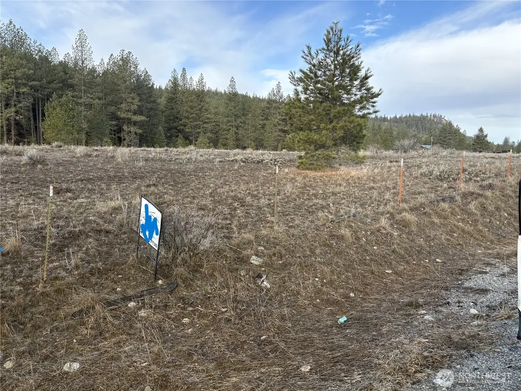0 Tamarack Road Tonasket WA 98855