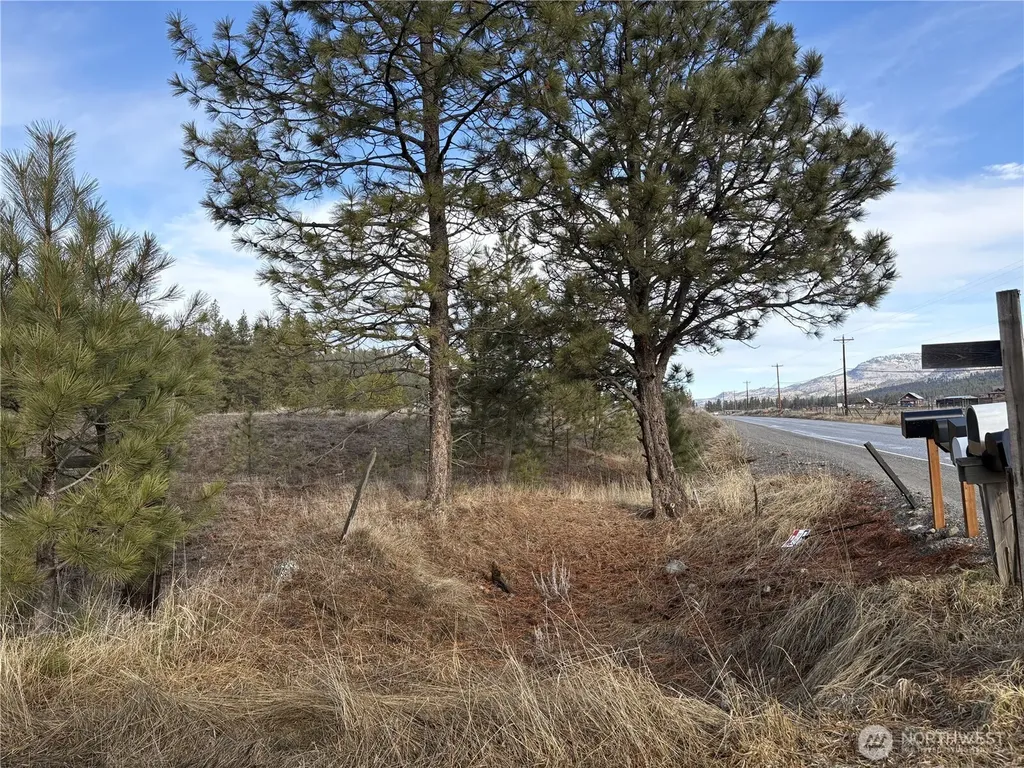 0 Tamarack Road Tonasket WA 98855