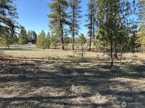 0 Tamarack Road Tonasket WA 98855