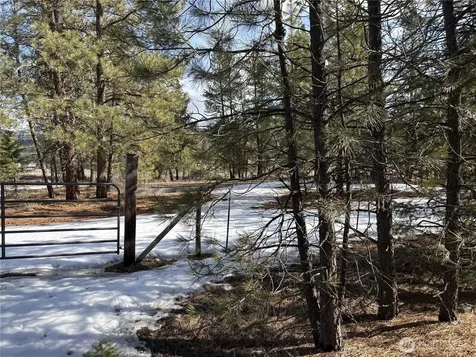 0 Tamarack Road Tonasket WA 98855