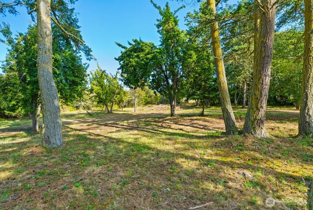 111 Baker Lane Friday Harbor WA 98250