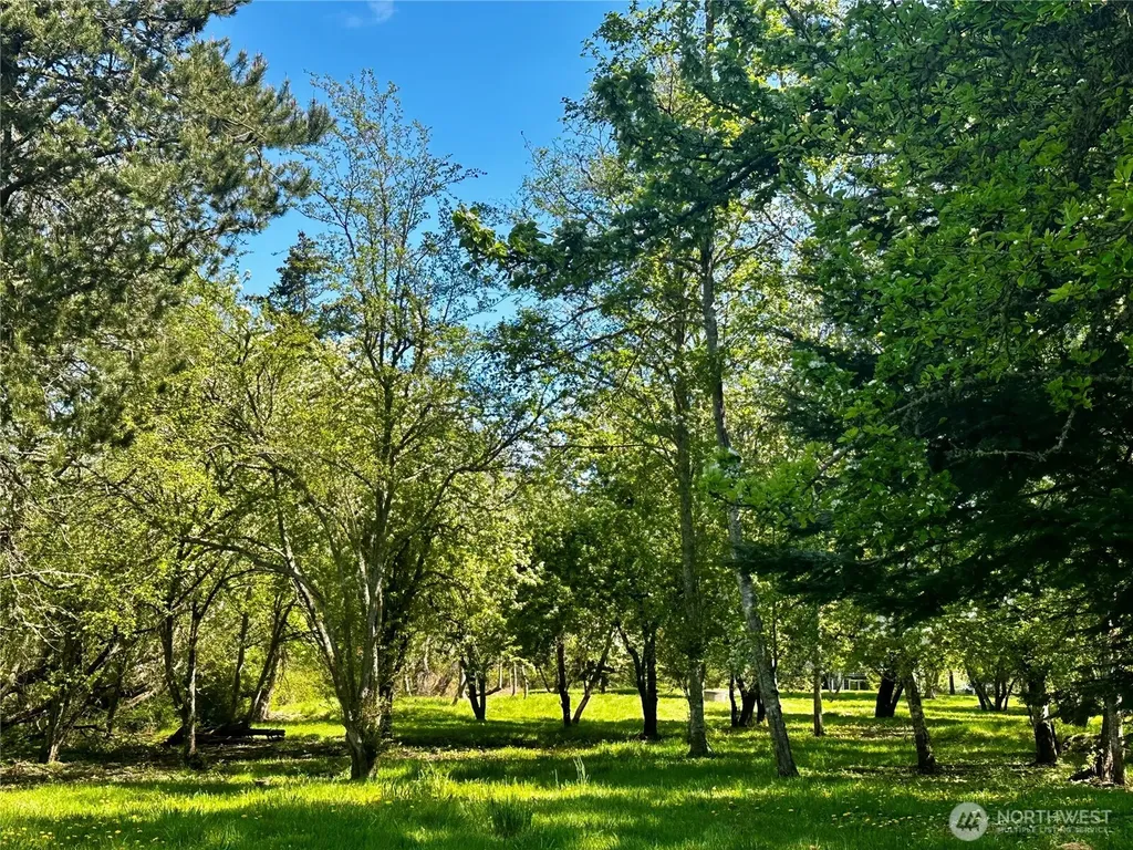 111 Baker Lane Friday Harbor WA 98250