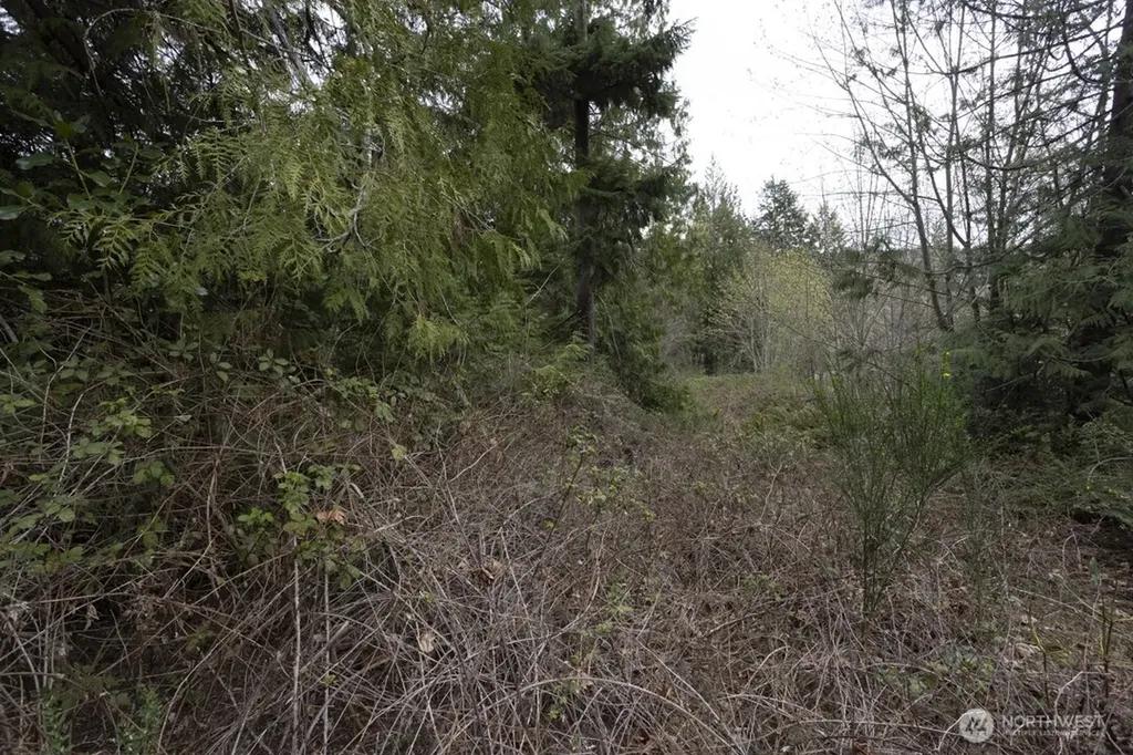 0 Clear Creek Road NW Silverdale WA 98383