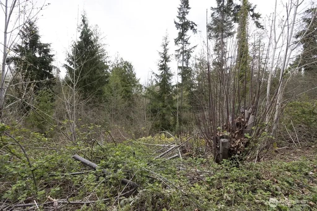 0 Clear Creek Road NW Silverdale WA 98383