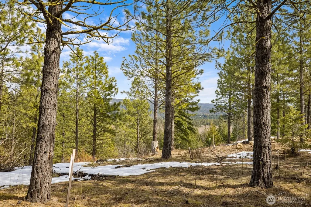 541 Gold Leaf Lane Cle Elum WA 98922