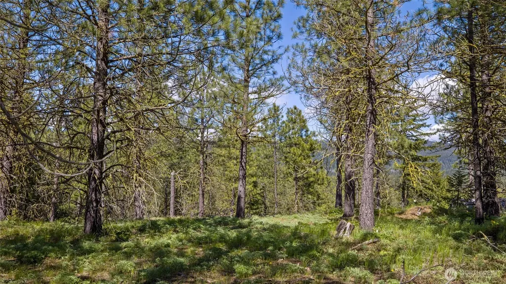 541 Gold Leaf Lane Cle Elum WA 98922