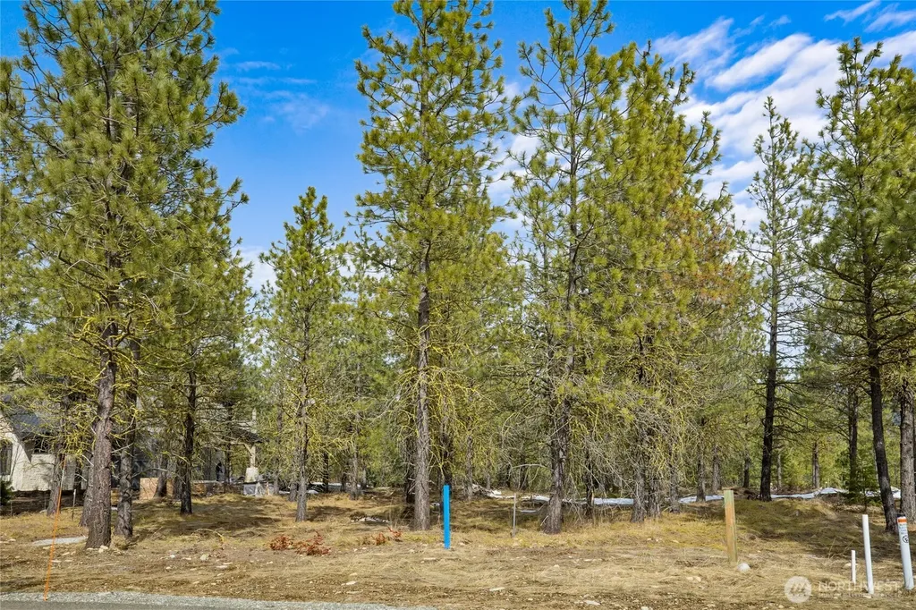 541 Gold Leaf Lane Cle Elum WA 98922