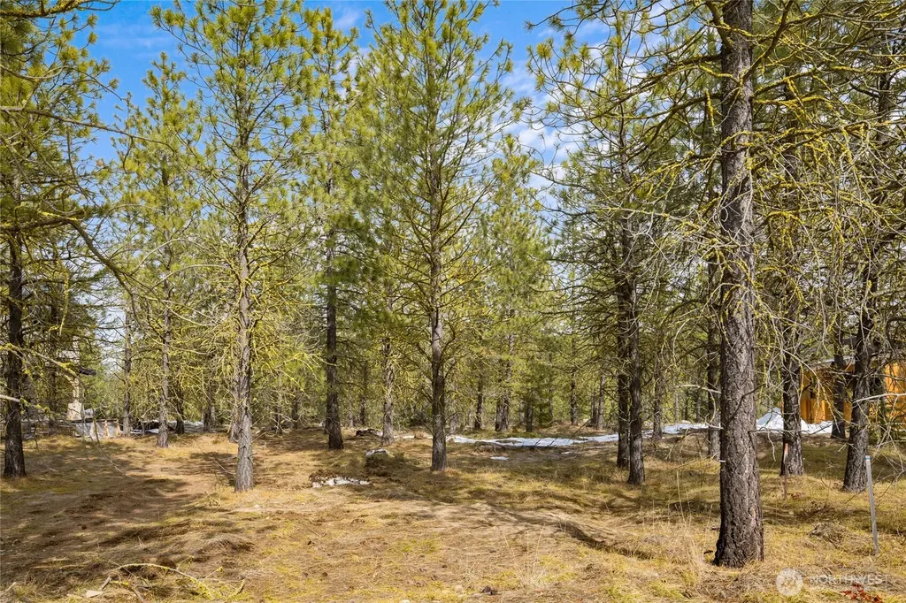 541 Gold Leaf Lane Cle Elum WA 98922