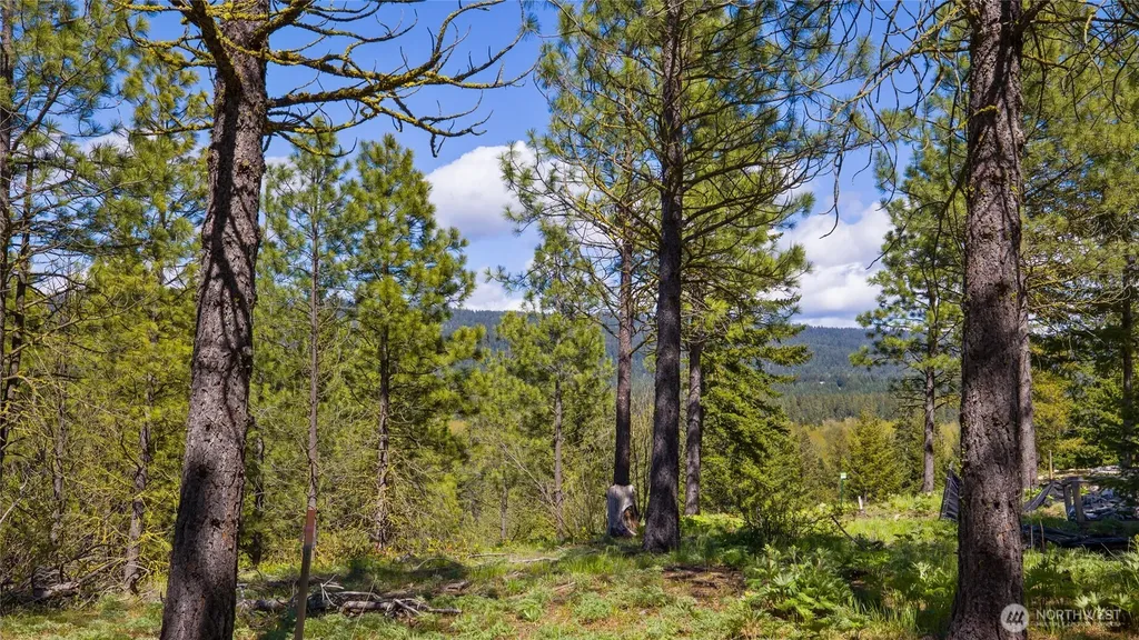 541 Gold Leaf Lane Cle Elum WA 98922