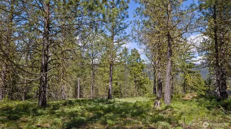541 Gold Leaf Lane Cle Elum WA 98922