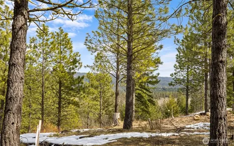 541 Gold Leaf Lane Cle Elum WA 98922