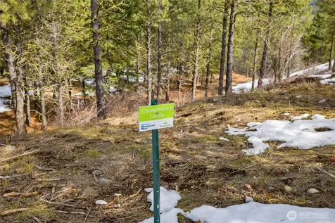 541 Gold Leaf Lane Cle Elum WA 98922