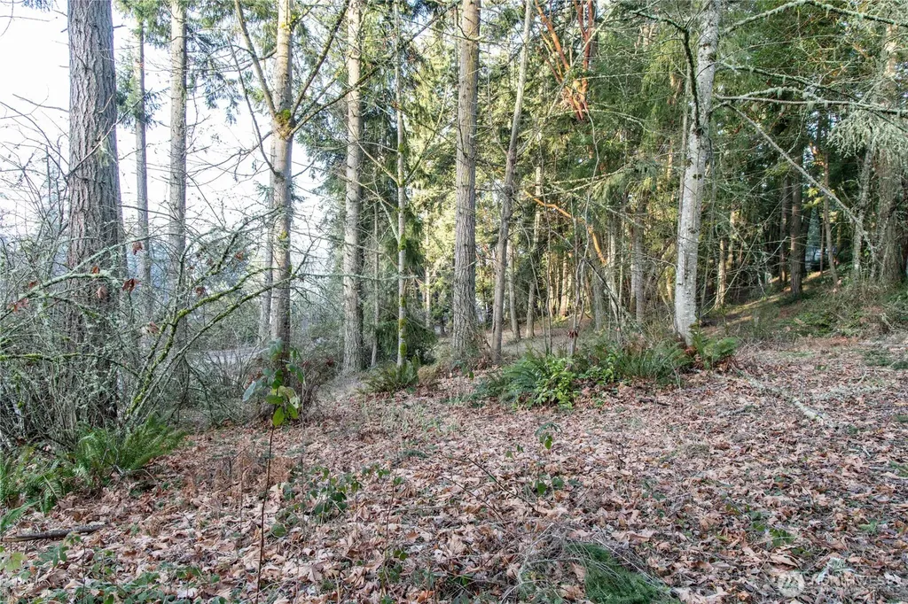 0 Lemolo Shore, Parcel 3-006 Drive NE Poulsbo WA 98370