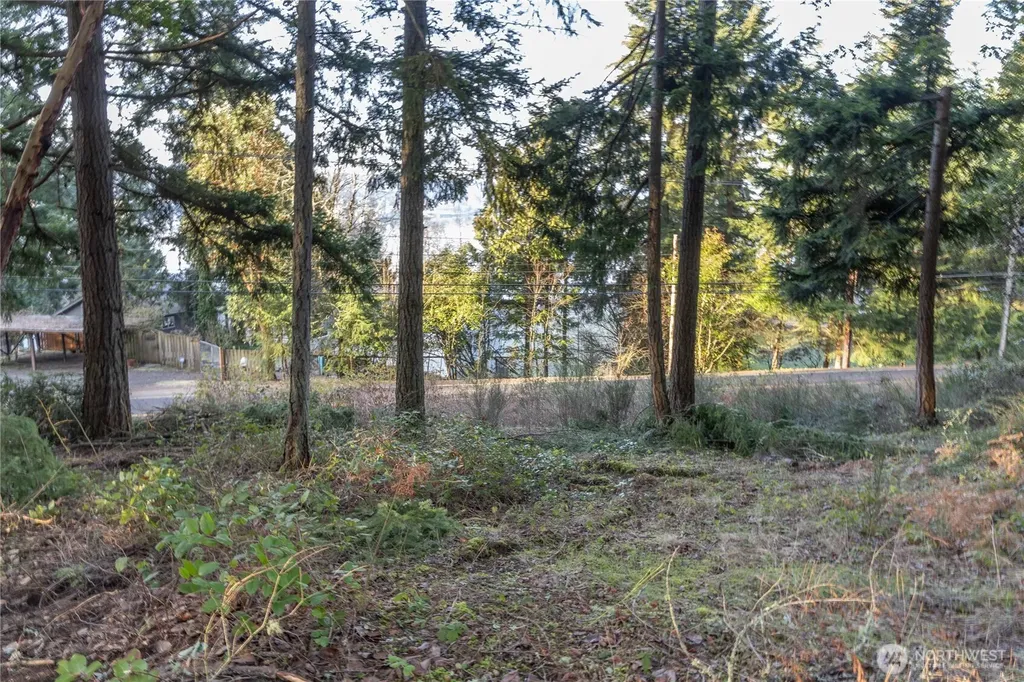 0 Lemolo Shore, Parcel 4-019 Drive NE Poulsbo WA 98370