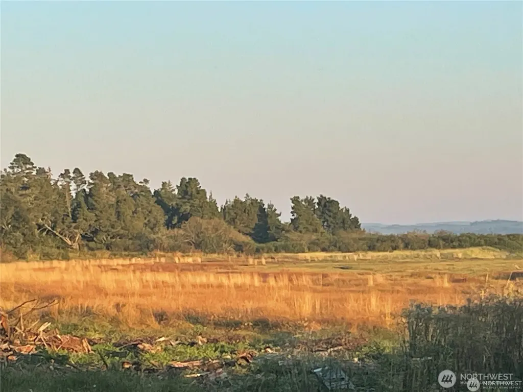 2680 Sunset Lane Tokeland WA 98590