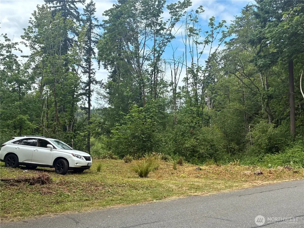 8 136th Avenue SE Newcastle WA 98059