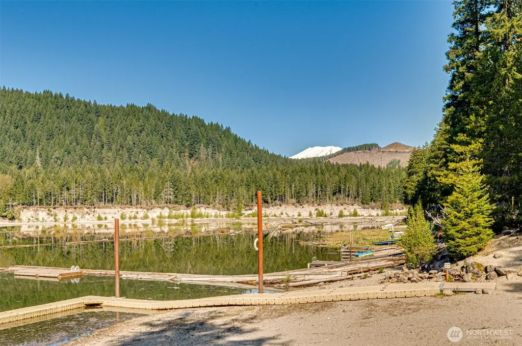 128 Northwoods Cabin Cougar WA 98616