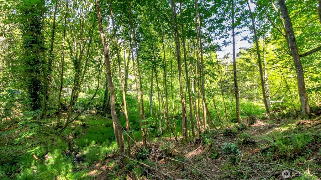 44 Raft Island Drive NW Gig Harbor WA 98335