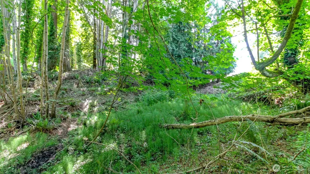 44 Raft Island Drive NW Gig Harbor WA 98335