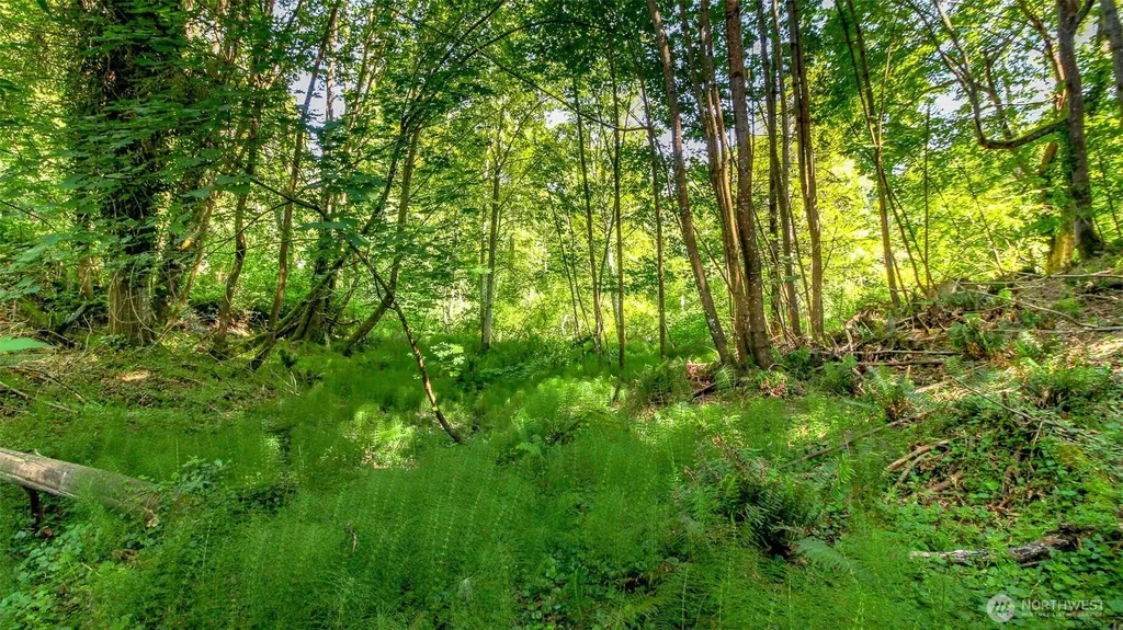 44 Raft Island Drive NW Gig Harbor WA 98335