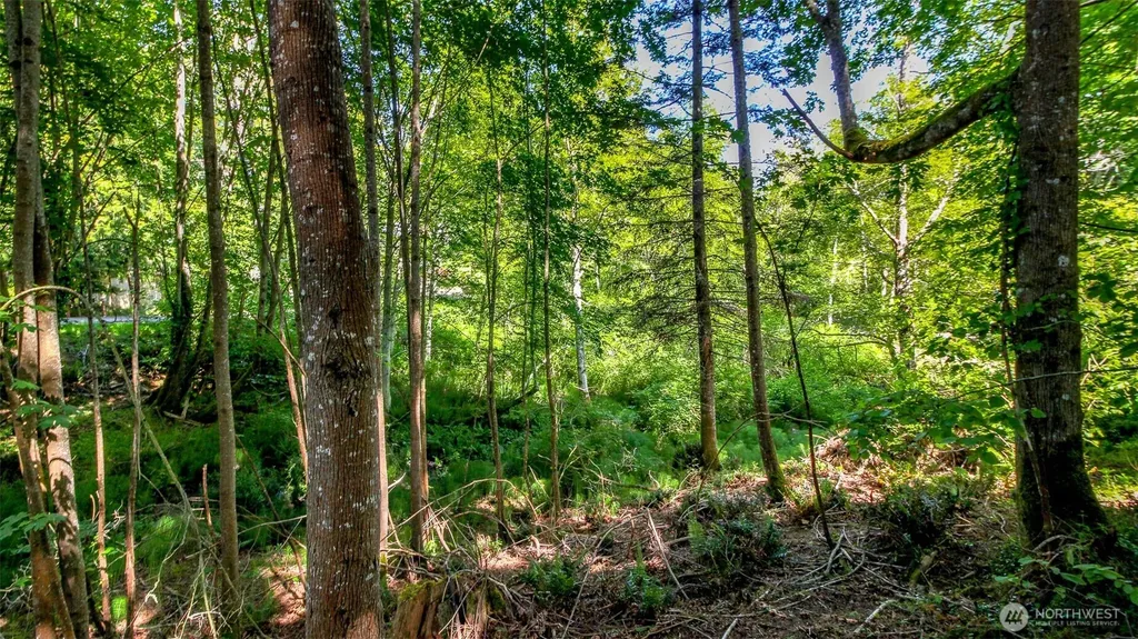 44 Raft Island Drive NW Gig Harbor WA 98335