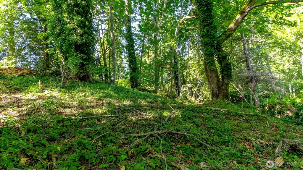 44 Raft Island Drive NW Gig Harbor WA 98335