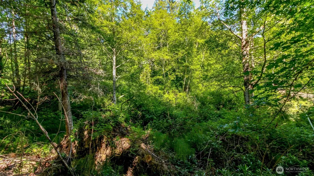 44 Raft Island Drive NW Gig Harbor WA 98335