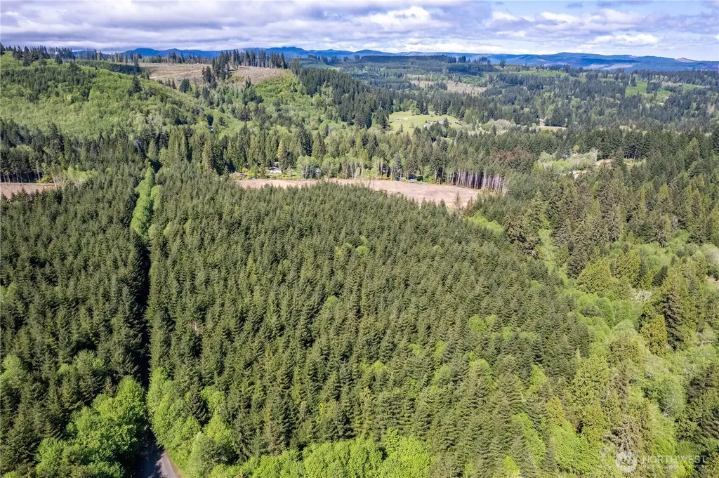 0 Orion Longview WA 98632