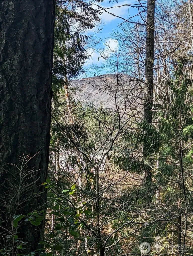 390 N Duckabush Drive W Hoodsport WA 98548