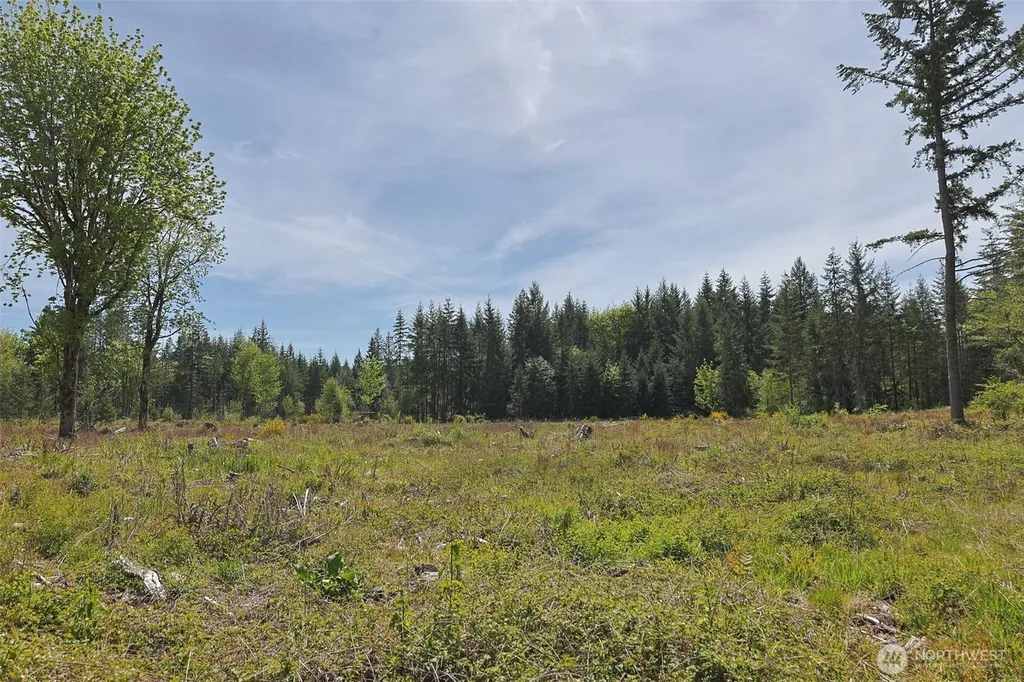 15138 Champion Estate Drive SE Yelm WA 98597