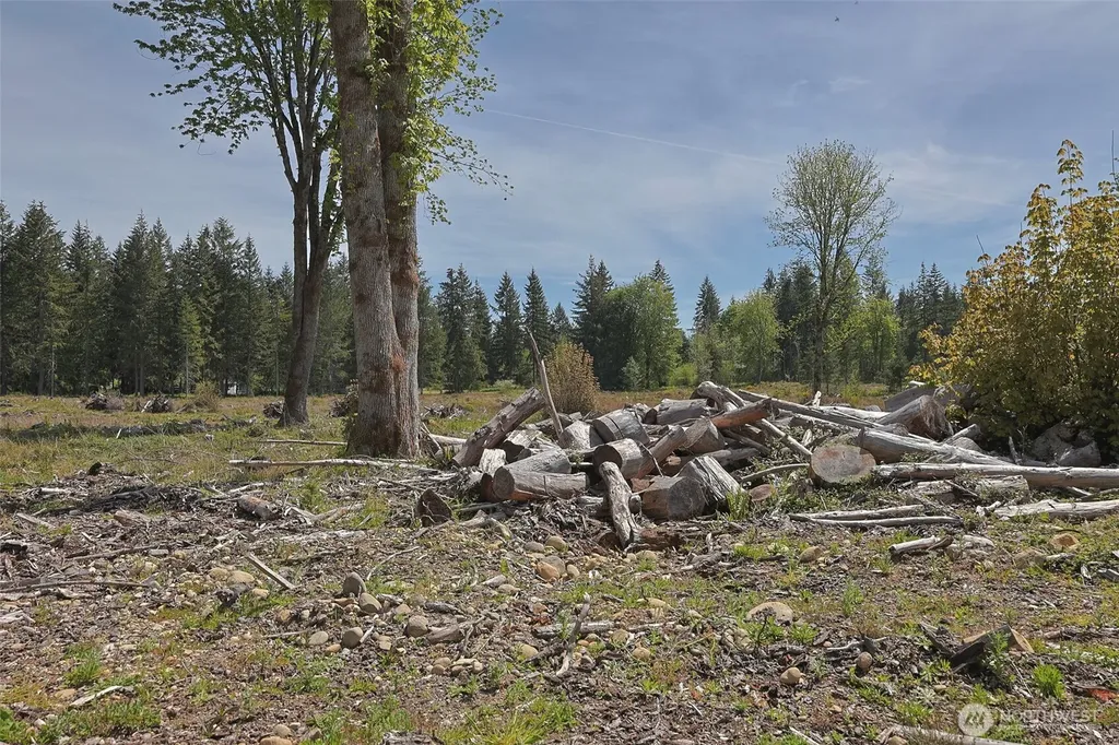 15138 Champion Estate Drive SE Yelm WA 98597