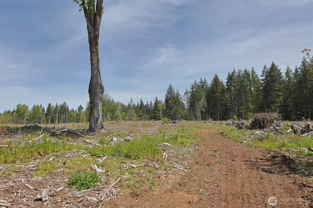 15138 Champion Estate Drive SE Yelm WA 98597