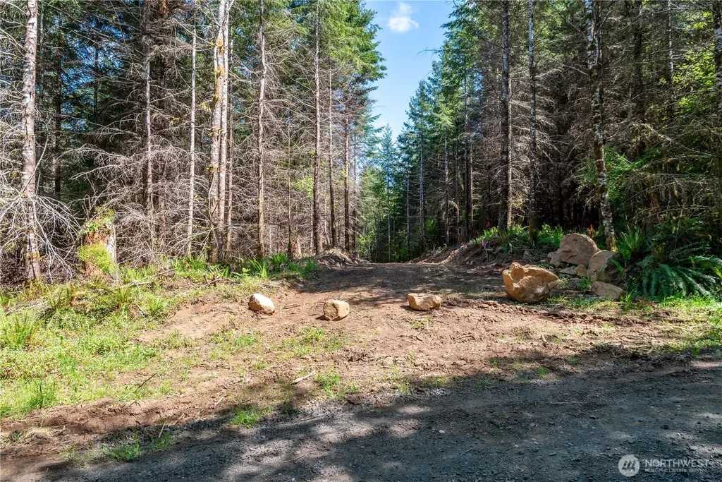 0 Orion Road Longview WA 98632