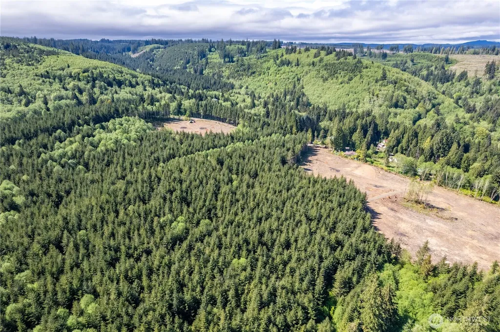 0 Orion Road Longview WA 98632