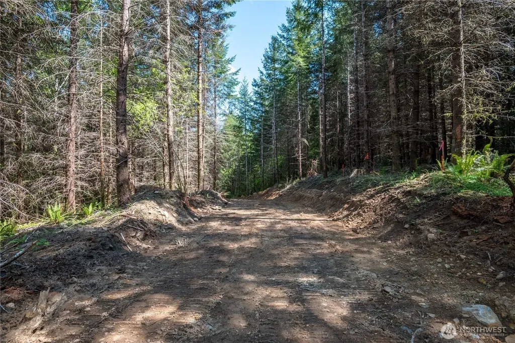 0 Orion Road Longview WA 98632