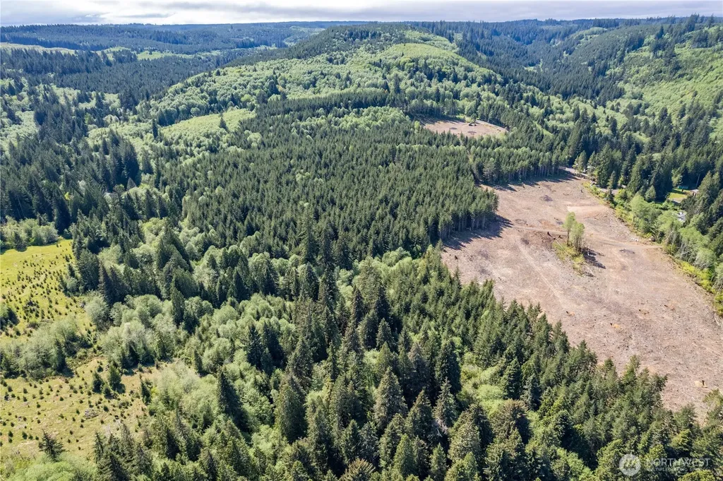0 Orion Road Longview WA 98632
