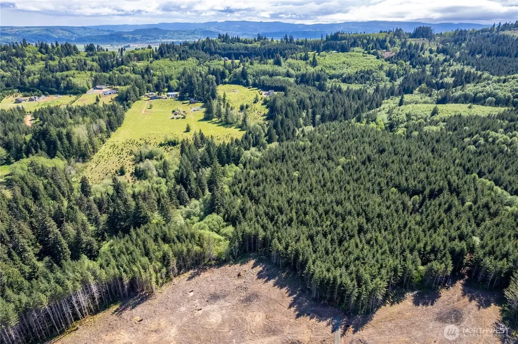 0 Orion Road Longview WA 98632