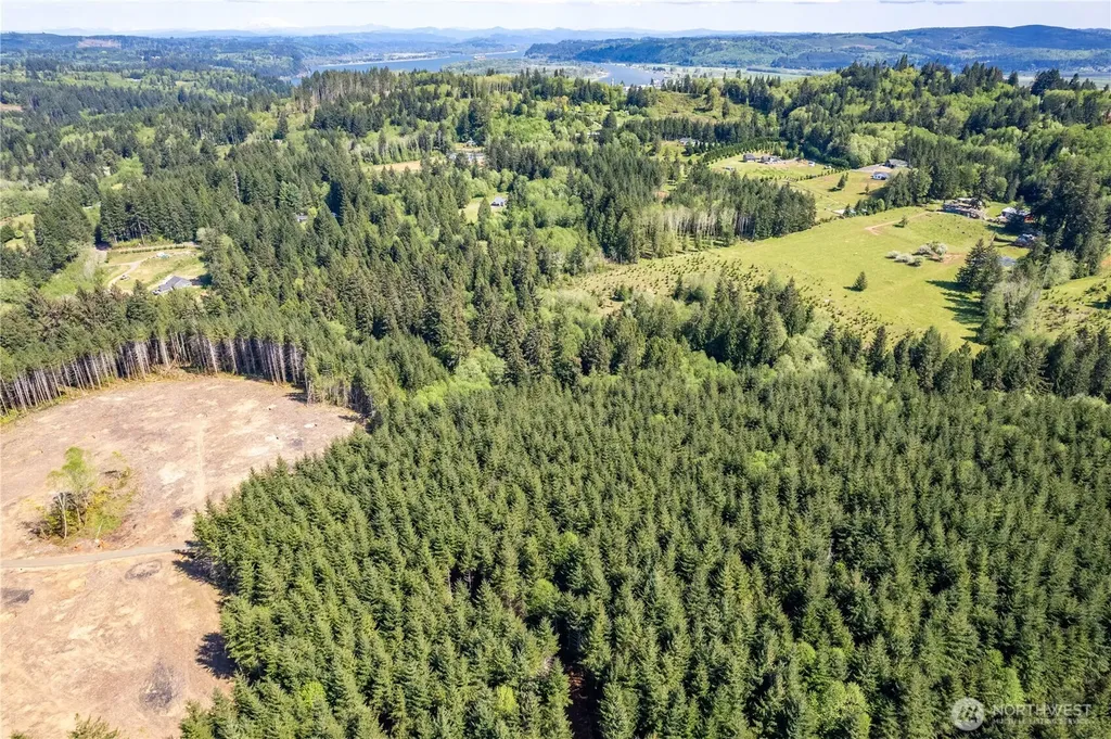 0 Orion Road Longview WA 98632