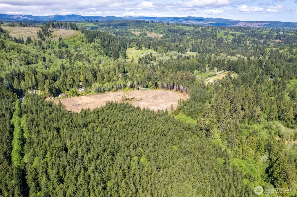 0 Orion Road Longview WA 98632