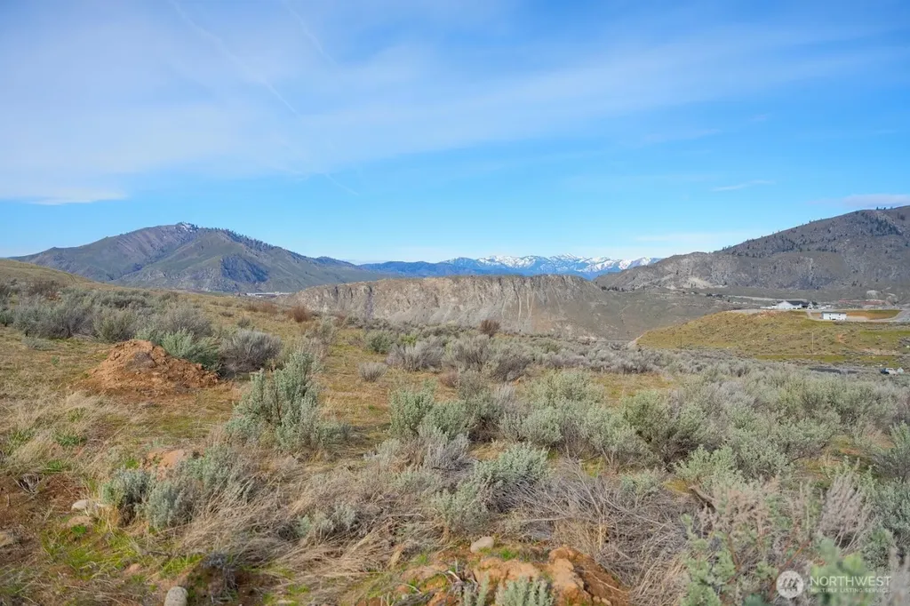 0 Parcel B Mcneil Canyon Road Orondo WA 98816
