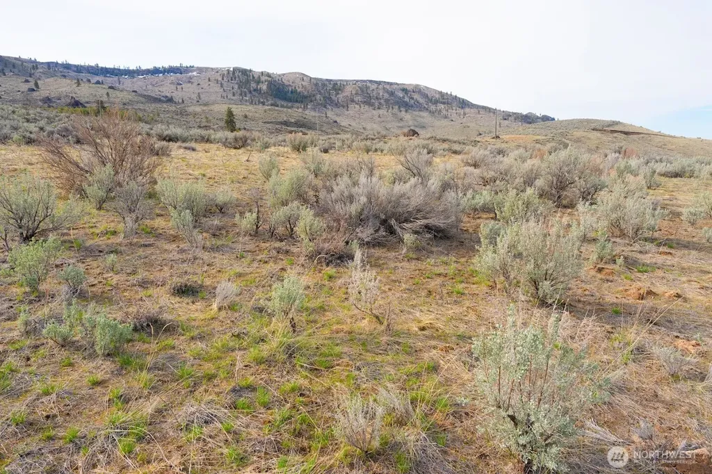 0 Parcel A Mcneil Canyon Road Orondo WA 98816