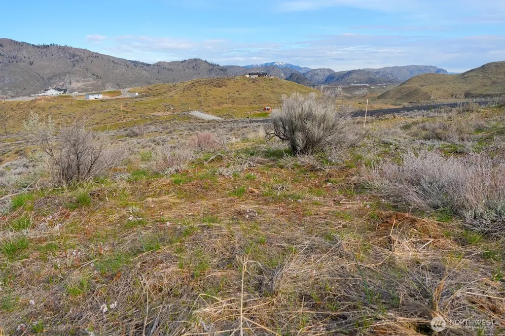 0 Parcel A Mcneil Canyon Road Orondo WA 98816